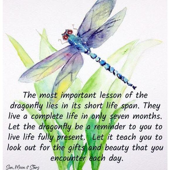 Colorful Crochet Handmade Dragonfly Keychain Beaded Bag Charm Upcycled Mini - Picture 7 of 10